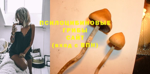 эйфоретик Алексин