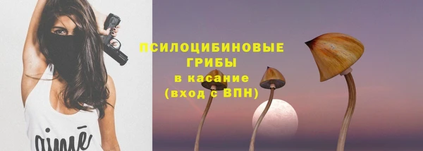 молекула духа Алексеевка