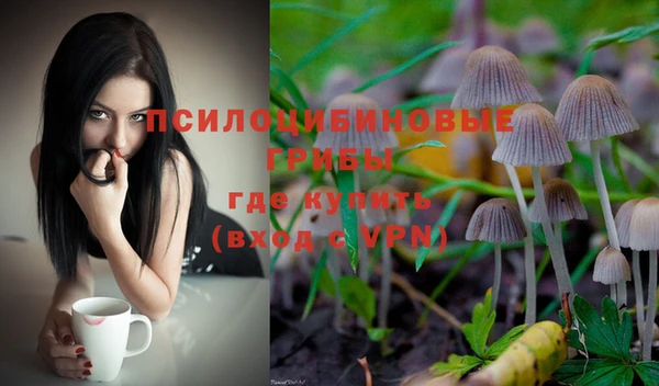 эйфоретик Алексин