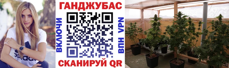 где продают наркотики  сайты даркнета официальный сайт  Бошки Шишки гибрид  Харовск 